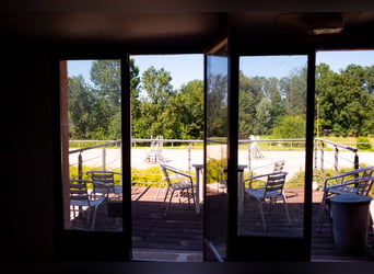 Riding School or Equestrian Center