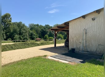 Riding School or Equestrian Center
