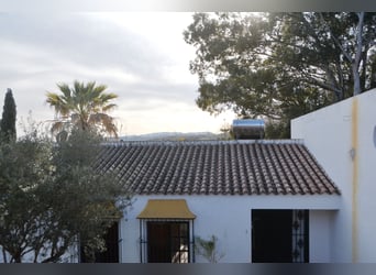 Ruhe pur - Finca in Vejer