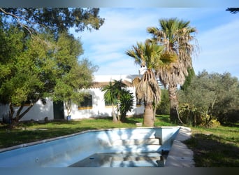 Ruhe pur - Finca in Vejer