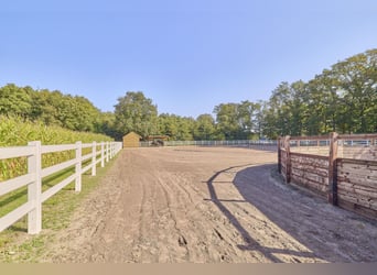 Schicke Reitanlage im Emsland mit gehobenem Wohnkomfort und gewerblicher Pferdehaltung!