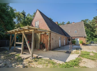 Single-family house with garage, horse stable, and riding arena in the Metelener Heide for sale