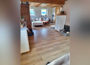 Small equestrian farm near Lake Constance for sale.