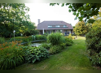 SOLD: Complete riding facility with country house near the German border in the Netherlands.