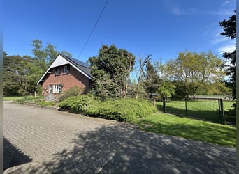 Spacious country house with equestrian facilities, riding arena, and a stunning park-like garden in 