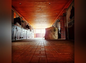 Stable block for rent in Herzlake, Emsland