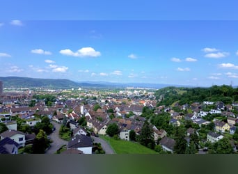 Stilvolles Landhaus mit Pferdestallung und Dressurplatz in ruhiger Lage nahe Basel