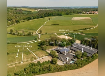 THE RANCH – An Exceptional Equestrian Centre