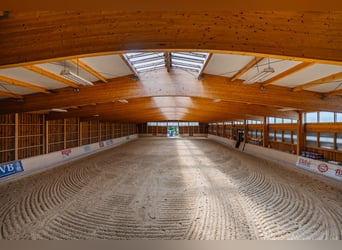 THE RANCH ist mehr als nur ein Zuhause – und weit mehr als ein klassischer Reiterhof