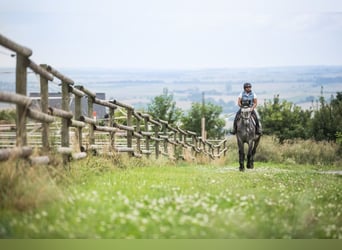 Traumgrundstück  mit 2075 m² für Pferde & Menschen mit Stallbaurecht in Lonnig/RLP nahe Koblenz
