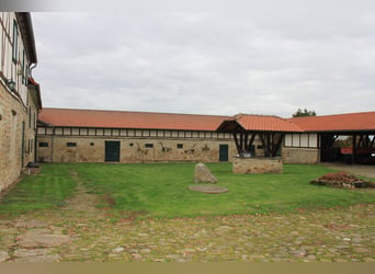 Traumhaft schöner Landsitz mit eigenem Wald, Reiterhof u.v.m. in ruhiger Lage mit guter Anbindung