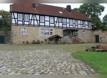 Traumhaft schöner Landsitz mit eigenem Wald, Reiterhof u.v.m. in ruhiger Lage mit guter Anbindung