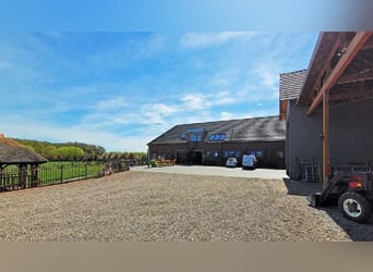 Traumhafter Vierkanthof mit ca. 4,2 ha Nähe Düsseldorf