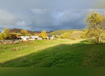 Traumhaftes Reiterhof-Areal mit 11,3 Hektar Eigenland in idyllischer Alleinlage 