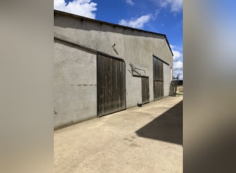 Turnkey equestrian center!