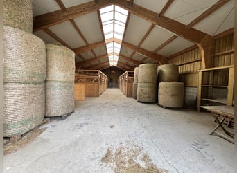 Unique equestrian estate in a idyllic secluded location – approximately 10 acres of private land, tw