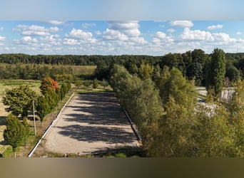 Unique riding facility near Potsdam with 16 hectares of enclosed land
