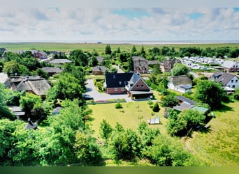 Urlaub am Meer mit Pferd - Ferienhaus an der Nordseeküste mit Pferdekoppel - Sankt Peter-Ording