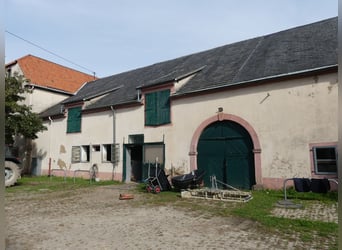 Vergabe der Reitsportanlage Monaise im Erbbaurecht