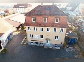 Versatile equestrian and residential estate with development potential – ideal for a veterinary clin