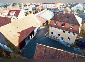 Versatile equestrian and residential estate with development potential – ideal for a veterinary clin