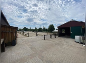 Versatile equestrian facility with a spacious two-family house in Hude (Oldenburg district)