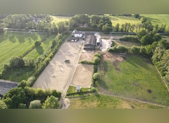 Versatile equestrian facility with a spacious two-family house in Hude (Oldenburg district)