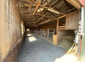 Versatile equestrian facility with a spacious two-family house in Hude (Oldenburg district)
