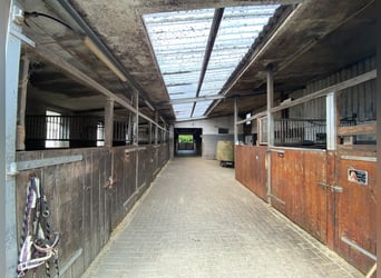 Versatile equestrian facility with a spacious two-family house in Hude (Oldenburg district)