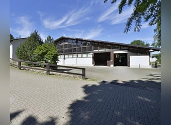 Von Privat : Beeindruckende Reitanlage 4,6 ha mit Villa  in der Nähe von Düsseldorf zu verkaufen