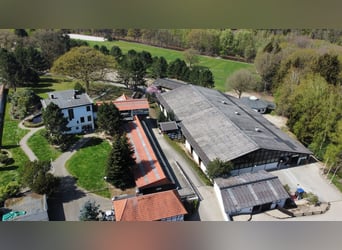 Von Privat : Beeindruckende Reitanlage 4,6 ha mit Villa  in der Nähe von Düsseldorf zu verkaufen