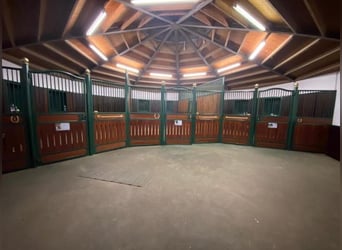 Von Privat : Beeindruckende Reitanlage 4,6 ha mit Villa  in der Nähe von Düsseldorf zu verkaufen