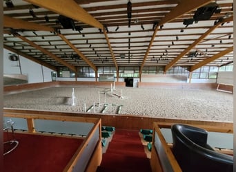 Von Privat : Beeindruckende Reitanlage 4,6 ha mit Villa  in der Nähe von Düsseldorf zu verkaufen