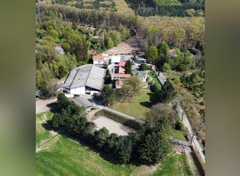 Von Privat : Beeindruckende Reitanlage 4,6 ha mit Villa  in der Nähe von Düsseldorf zu verkaufen