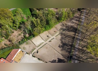 Von Privat : Beeindruckende Reitanlage 4,6 ha mit Villa  in der Nähe von Düsseldorf zu verkaufen