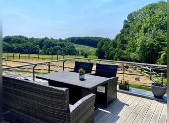 Welcome your horses to their new home!