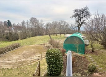 Well-maintained equestrian property – 5,000 sqm, sand arena, and mountain view | Near Switzerland | 