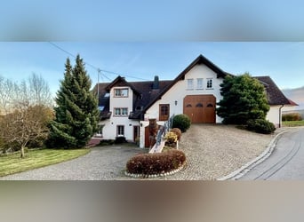 Well-maintained equestrian property – 5,000 sqm, sand arena, and mountain view | Near Switzerland | 