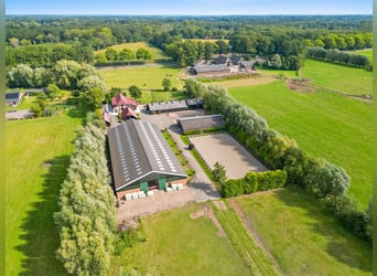 Woonboerderij met paardenaccommodatie incl. binnenrijbaan, buitenrijbaan en 11 luxe paardenstallen