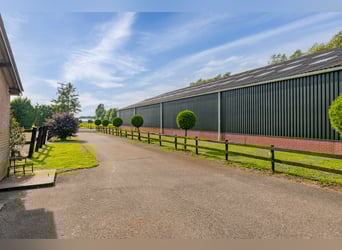 Woonboerderij met paardenaccommodatie incl. binnenrijbaan, buitenrijbaan en 11 luxe paardenstallen