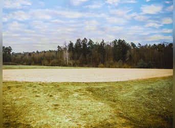 XXL Equestrian Facility for Elite Sport in Franconia V14177 – No Commission