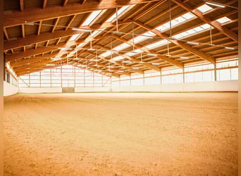 XXL Equestrian Facility for Elite Sport in Franconia V14177 – No Commission