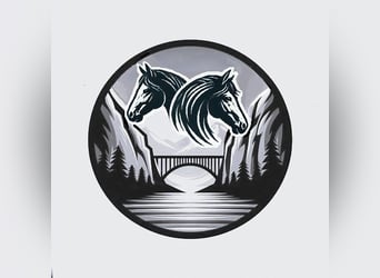 Active Stable Horse Farm Ammerblick NEW!!