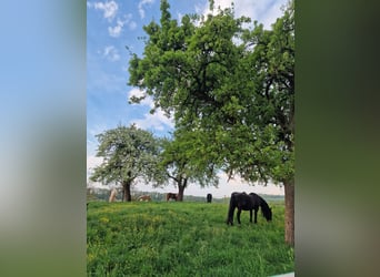 Active stable/open stable space available