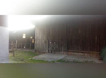 Farmstead with stables and an open stable yard, featuring enclosed pastures, available for lease to 