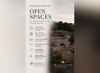 Looking to board and train your horse near Barcelona?