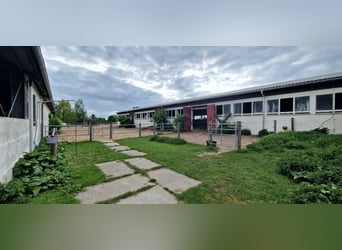 Offenstall-/ Aktivstall-/Einsteller-Platz frei