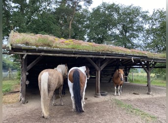 Retirement spaces available at PaddockTrail in Prignitz