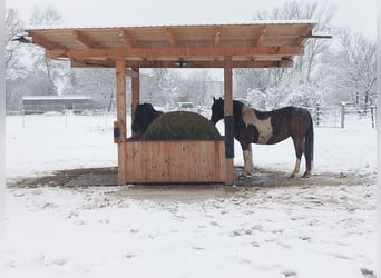 ...a place for your mare...