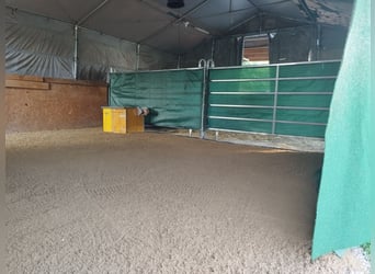 ...a place for your mare...